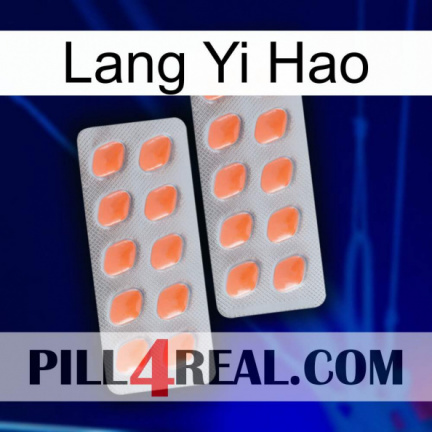 Lang Yi Hao 27